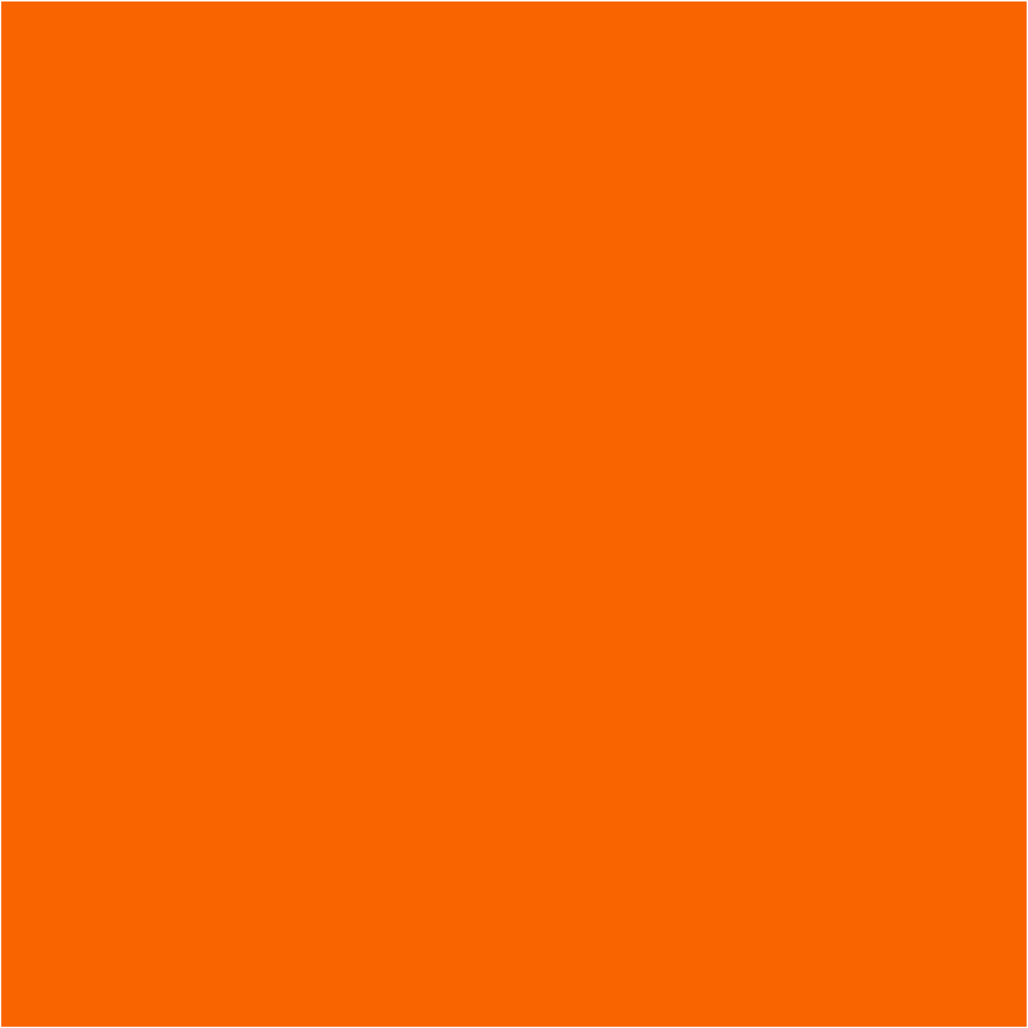 orange color block, hex code fe5c00